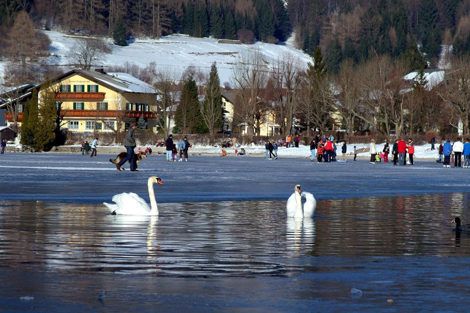 Landhotel Schuetzenhof Фушл ам Зее Экстерьер фото